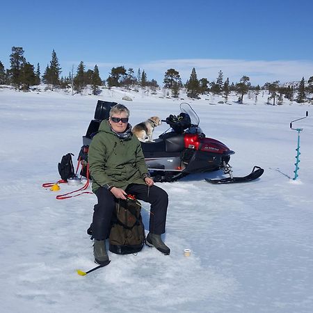 Knappgarden Särna エクステリア 写真