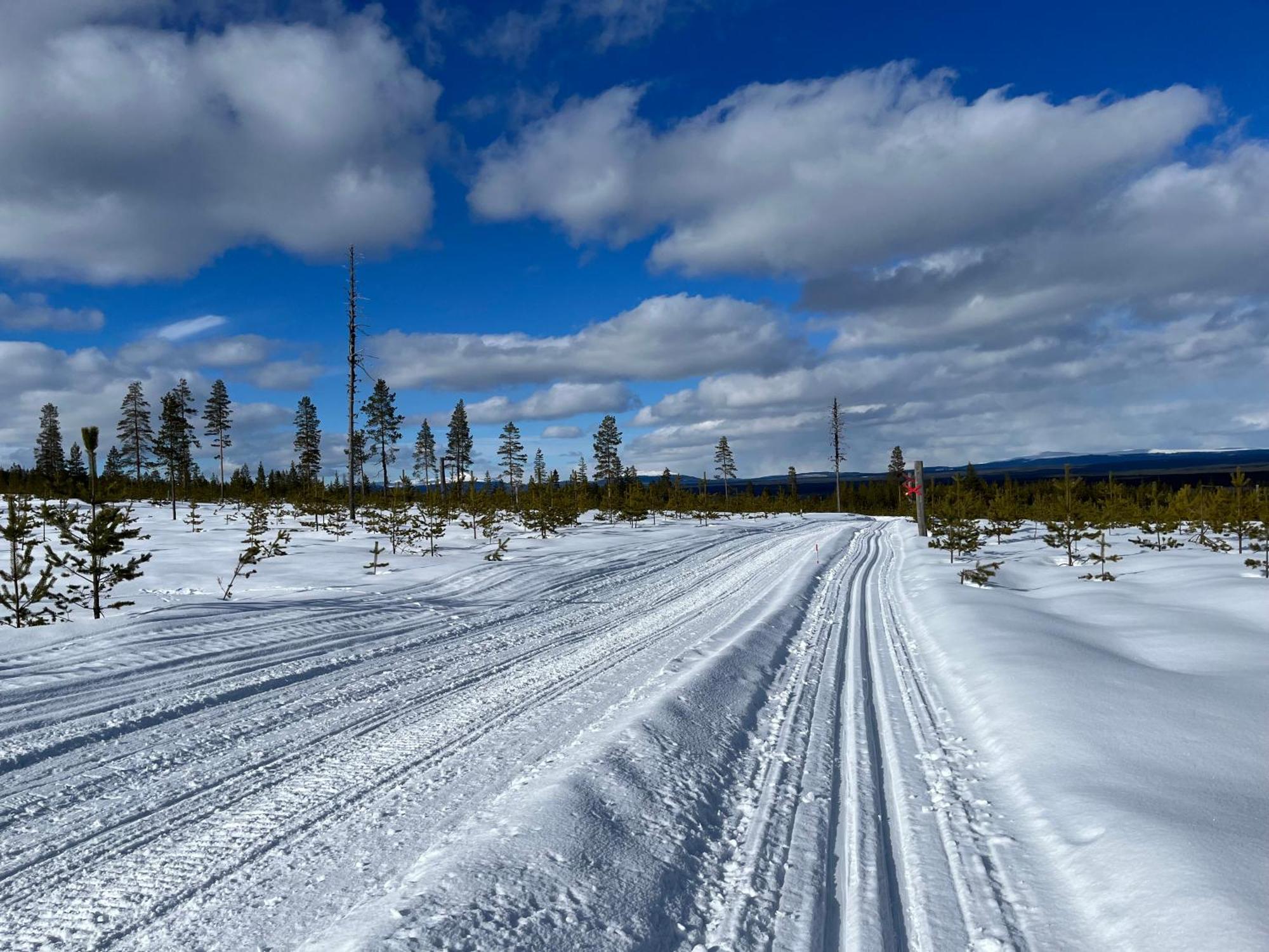 Knappgarden Särna エクステリア 写真