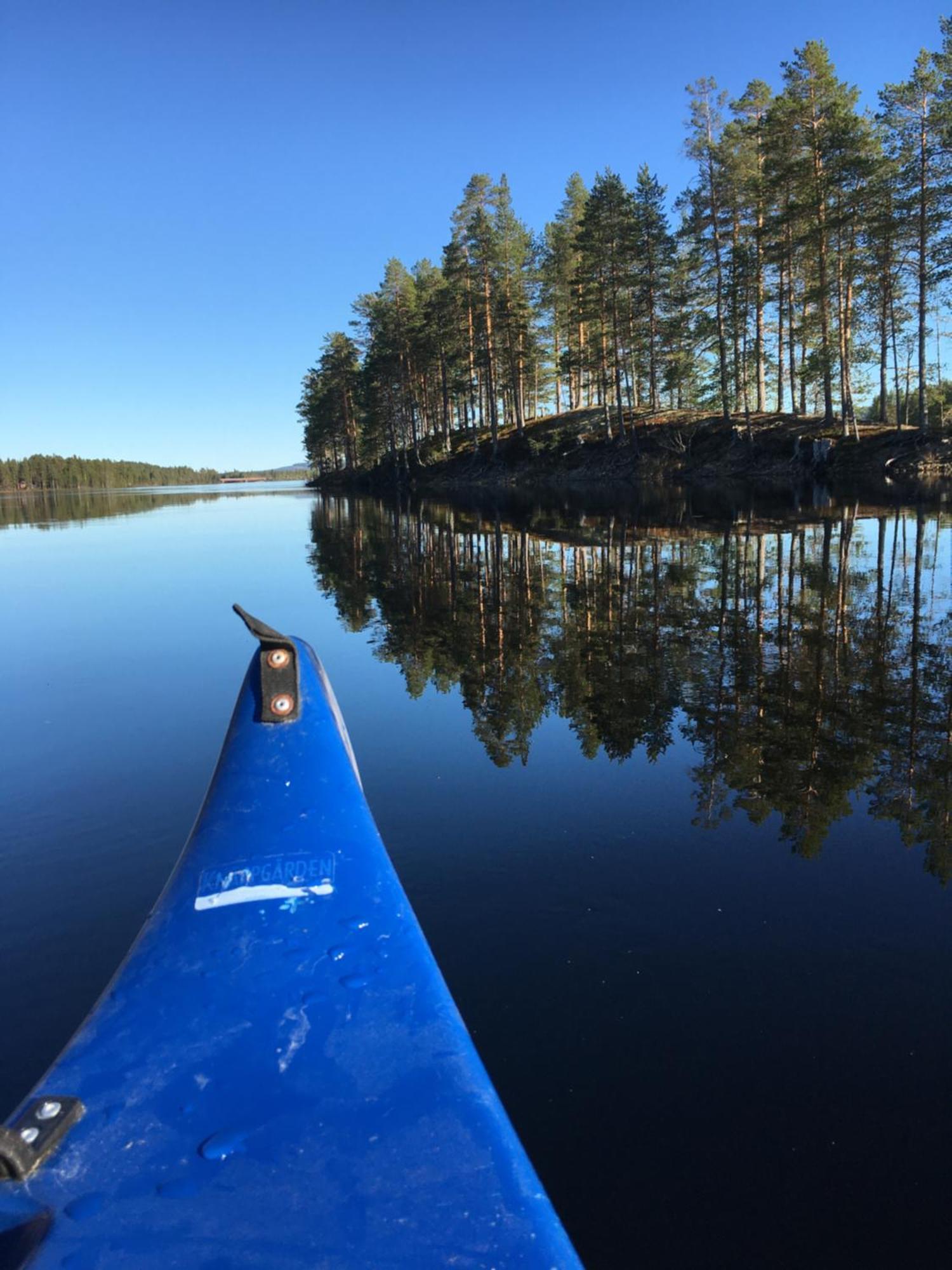 Knappgarden Särna エクステリア 写真