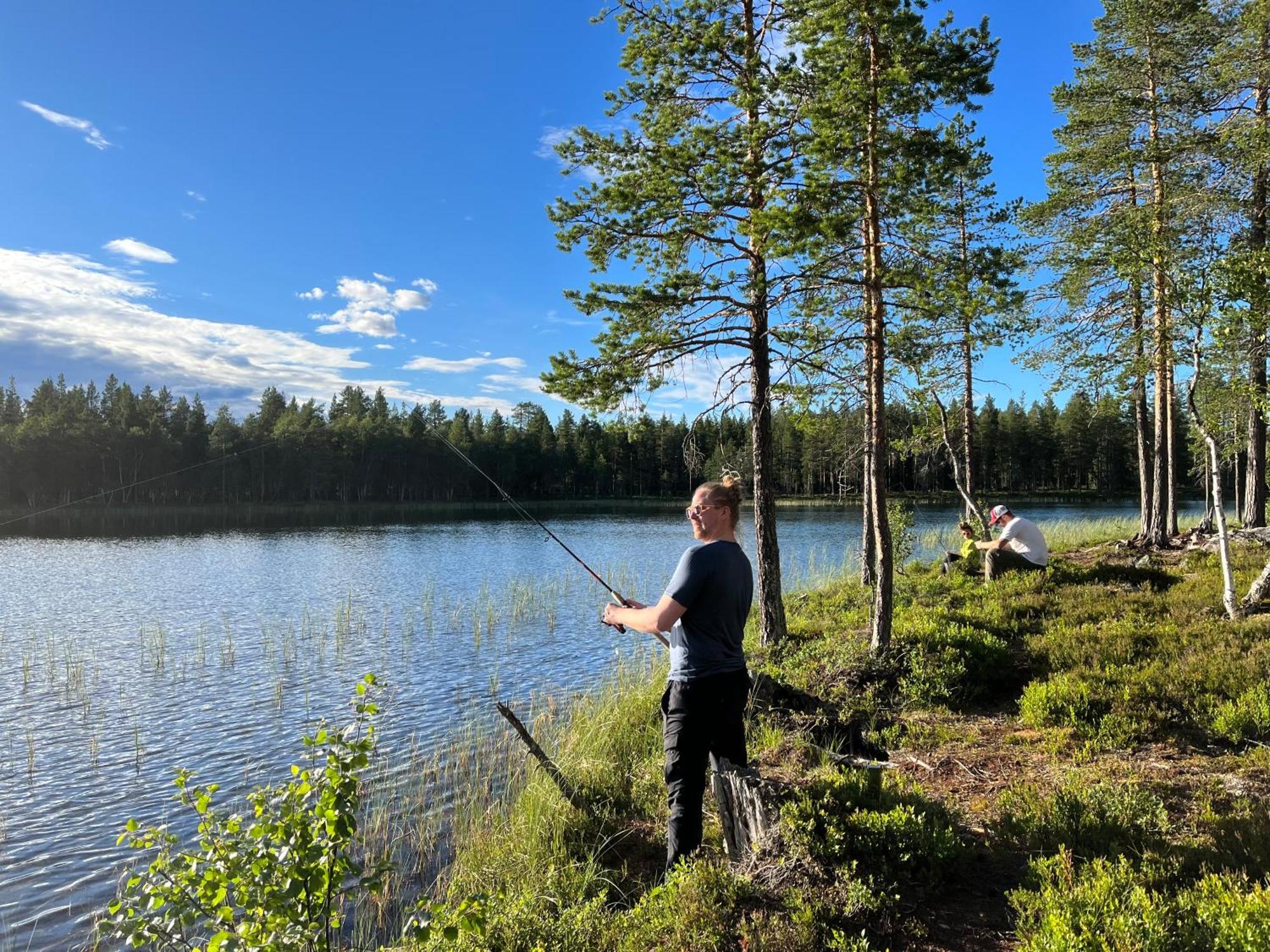 Knappgarden Särna エクステリア 写真