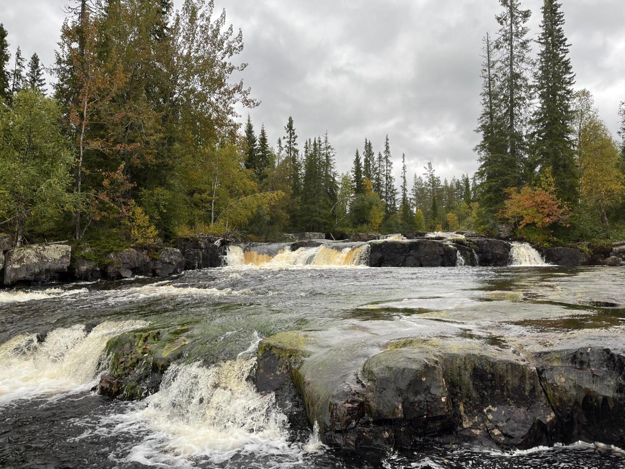 Knappgarden Särna エクステリア 写真