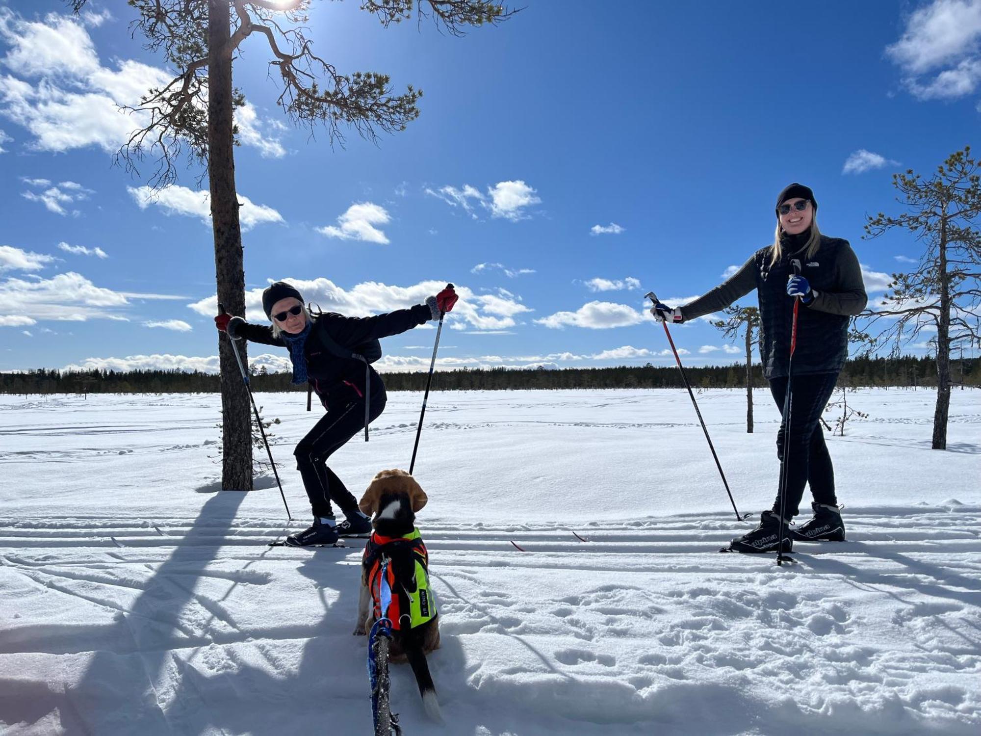 Knappgarden Särna エクステリア 写真