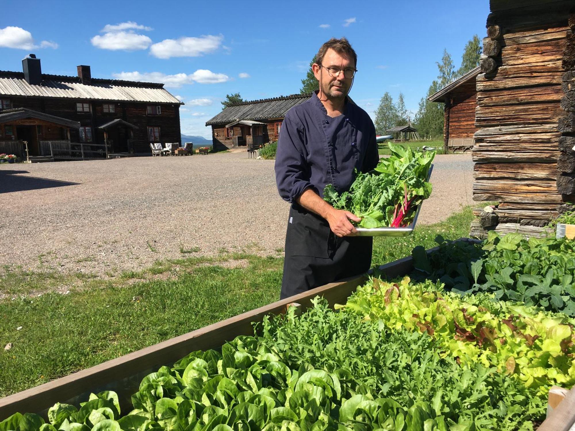 Knappgarden Särna エクステリア 写真
