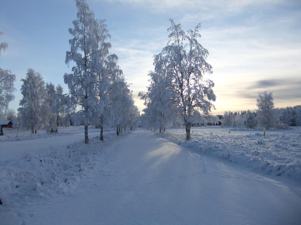 Knappgarden Särna エクステリア 写真