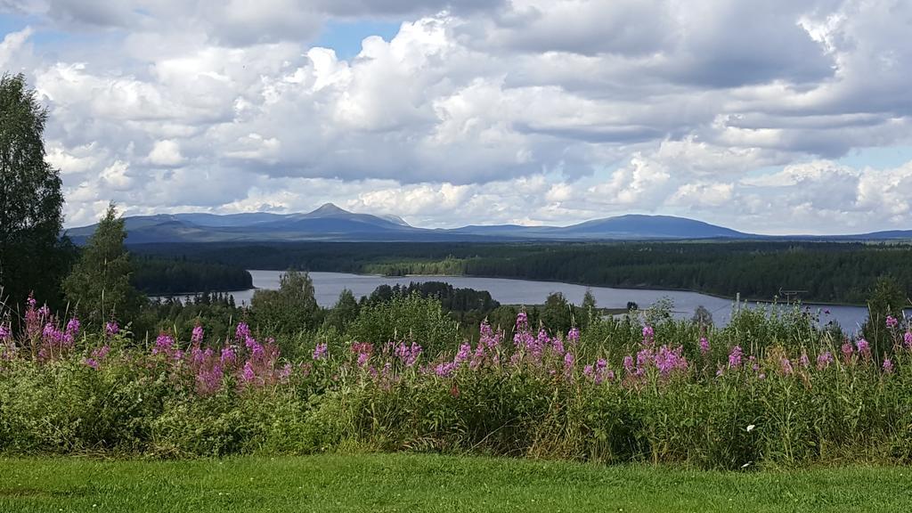 Knappgarden Särna エクステリア 写真
